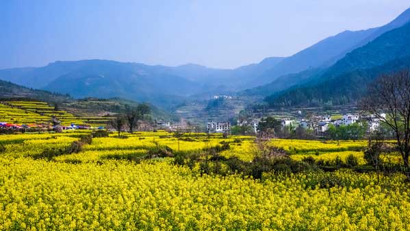 華東旅游