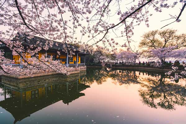 華東旅游