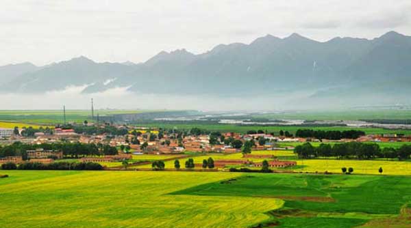 國內(nèi)旅游