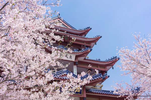 華東旅游