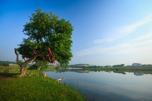 國(guó)內(nèi)旅游
