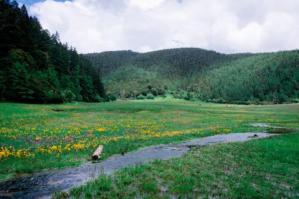 云南旅游