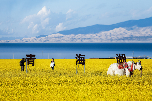 甘肅旅游