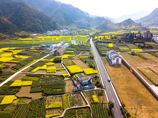 國內(nèi)旅游