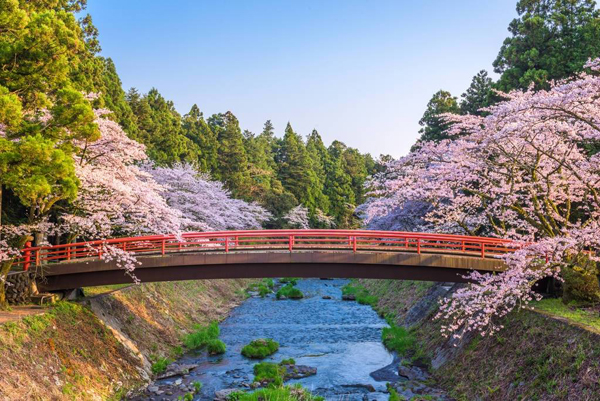 日韓旅游