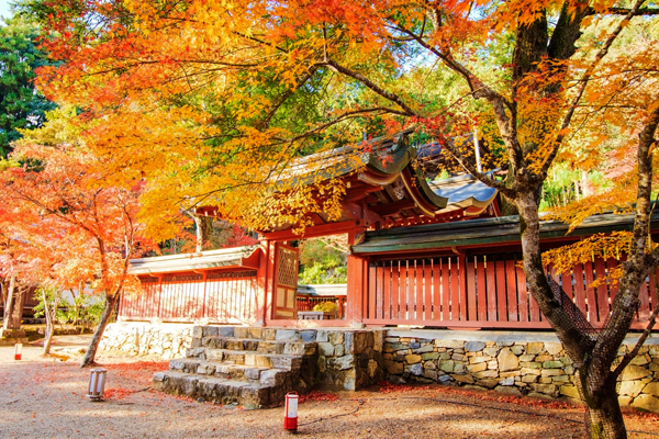 日本旅游