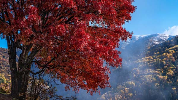 國(guó)內(nèi)旅游