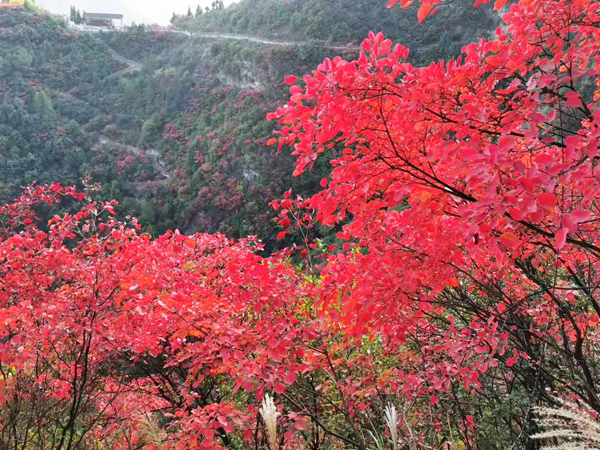 重慶周邊旅游