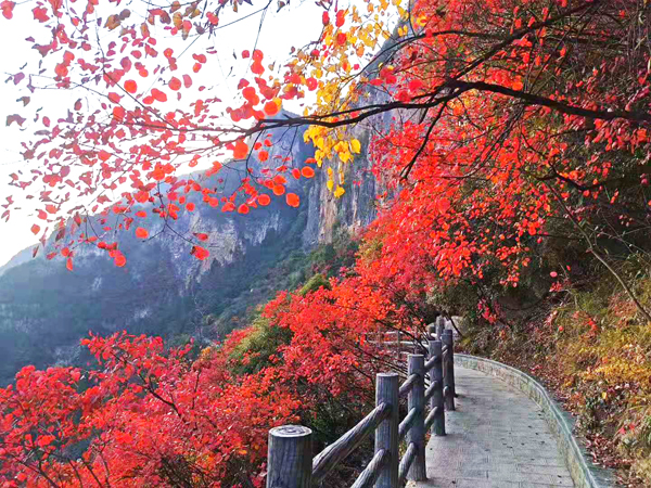 西南旅游