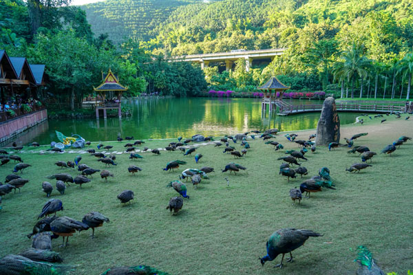 云南旅游