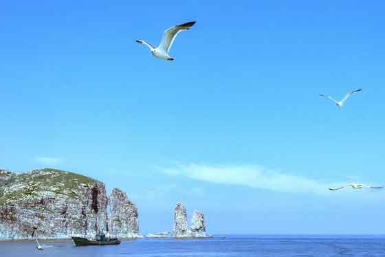 華東旅游
