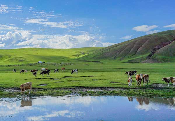 華北旅游