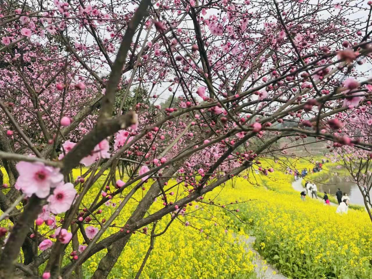 重慶周邊旅游