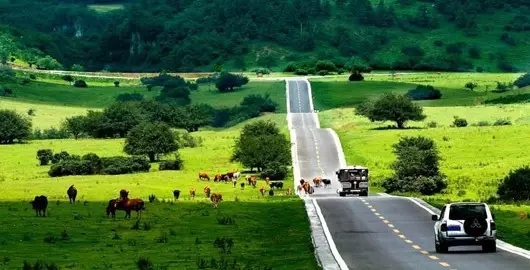 仙女山公路