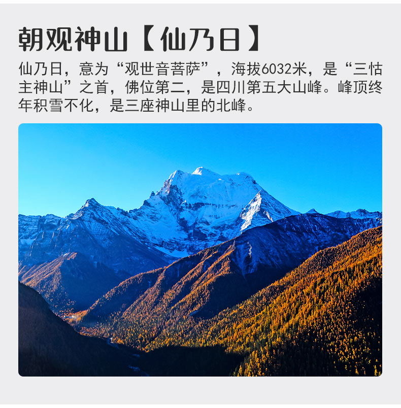 稻城包裝04