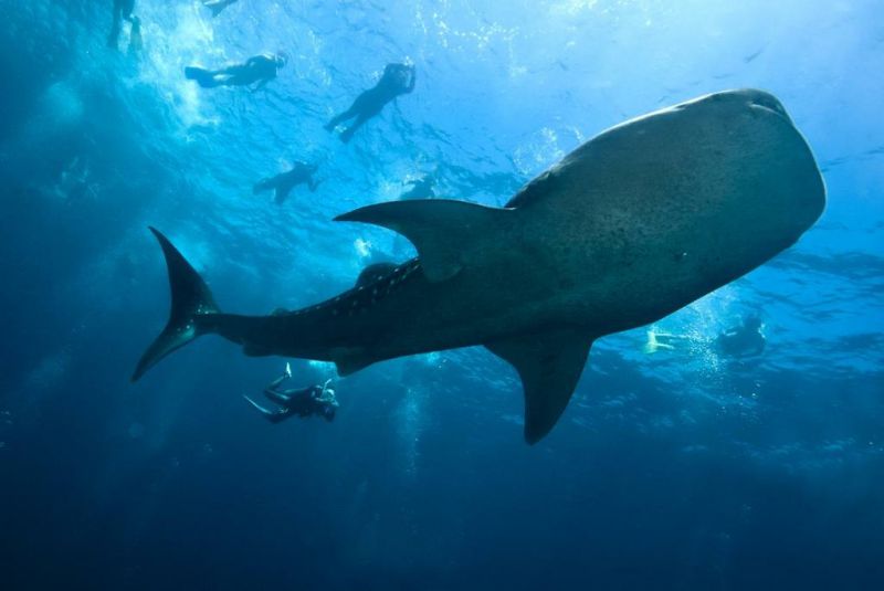 馬爾代夫太陽島12 馬爾代夫太陽島12