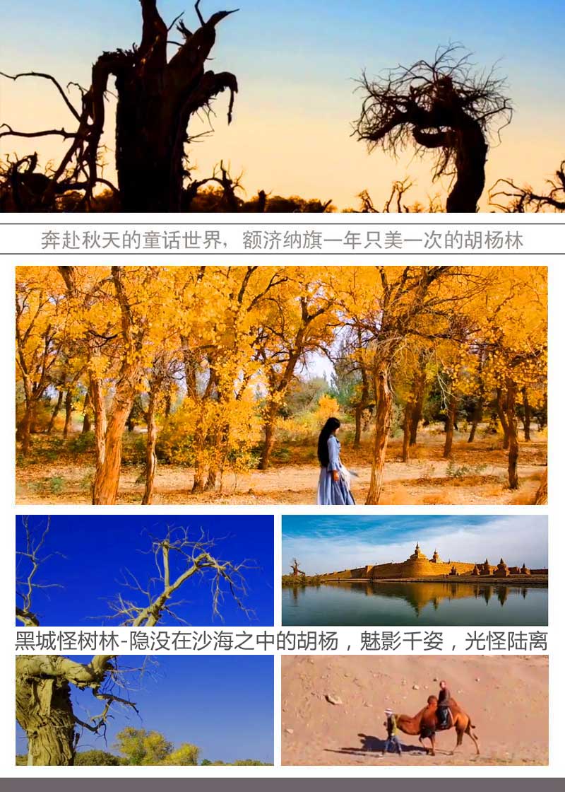 1-8道橋廣告設(shè)計(jì)